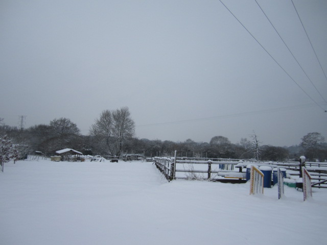 snow pictures 023